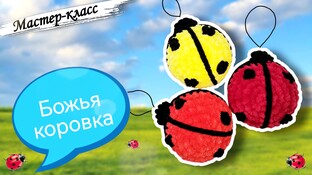 Божья коровка крючком. Видео мастер-класс, схема и описание по вязанию игрушки амигуруми