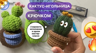 Кактус видео мастер-класс по вязанию игрушки крючком