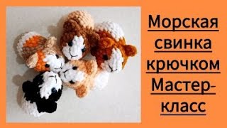 Морская свинка видео мастер-класс амигуруми