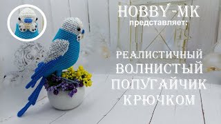 Волнистый попугай Кеша видео мастер-класс по вязанию игрушки крючком